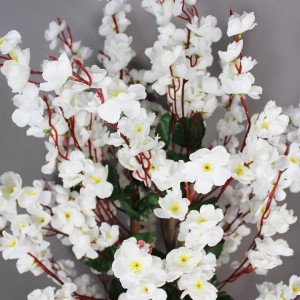 شجر لوز ابيض ارتفاع 120 سم