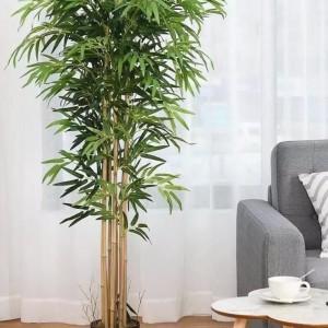 شجرة بامبو كبير 200 سم شجرة بامبو كبير 200 سم
