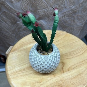 قوار ورد صبار مع قاعدة جير جبص ثقيل قوار ورد صبار مع قاعدة جير جبص ثقيل