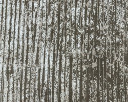 سجاد اسطنبول فالنسيا Valansia مقاس 160 × 220 لون سجاد اسطنبول فالنسيا Valansia مقاس 160 × 220 لون