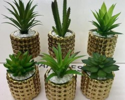 قوار ورد صبار 16 سم بورسلان اسطواني نافر ببلز ذهبي