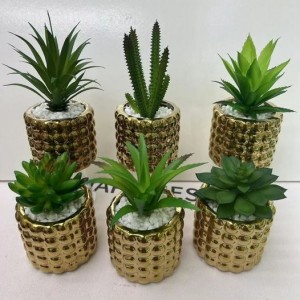 قوار ورد صبار 16 سم بورسلان اسطواني نافر ببلز ذهبي