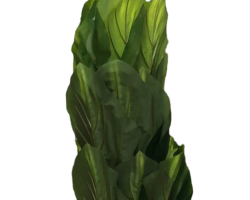 شجر موز زينة طويل 180 مع قوار اسود