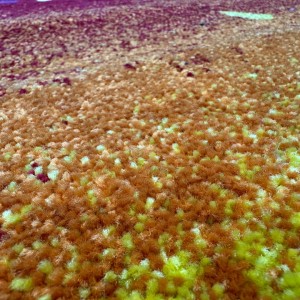 سجاد مطبع رسومات مقاس 160 × 220 مطابخ سلة خضار سجاد مطبع رسومات مقاس 160 × 220 مطابخ سلة خضار