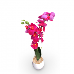 قوار ورد ابيض اوركيدا 50 سم مع قوار ابيض بورسلان حجم وسط قوار ورد ابيض اوركيدا 50 سم مع قوار ابيض بورسلان حجم وسط