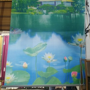 ستائر رول اب لايديكو مقاس 160 ارتفاع 180 لون مطبوع 3D