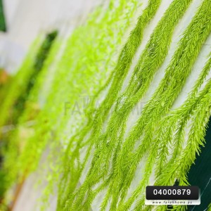 عرق سبنجة - مسبحة طويل لتزيين القواوير