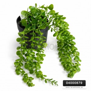 عرق سبنجة - مسبحة طويل لتزيين القواوير عرق سبنجة - مسبحة طويل لتزيين القواوير