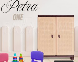 خزانة بلاستيك ثقيل صب بترا صناعة اردنية حجم صغير بابين مع رفين