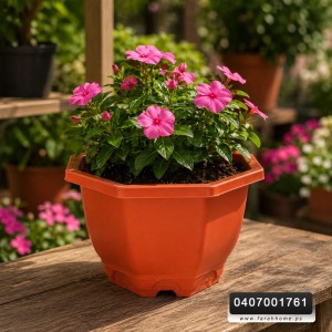 قوار ورد بلاستيك مزخرف اشكال متعددة