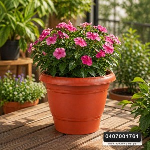 قوار ورد بلاستيك مزخرف اشكال متعددة