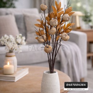 عرق / ضمة يقطين كبيرة طويل 60 سم