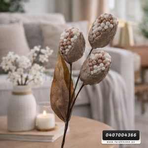 عرق ببلز مجفف طابات