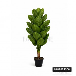 شجر ورد ورق موز عريض قوار اسود 140 سم ارتفاع