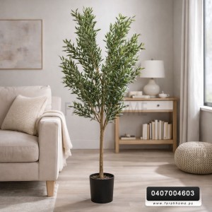 شجرة زيتون اخضر 180سم قوار اسود شجرة زيتون اخضر 180سم قوار اسود