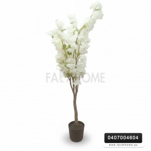 شجرة لوز /نوار ابيض زهر قوار اسود 180سم شجرة لوز /نوار ابيض زهر قوار اسود 180سم