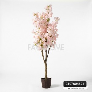 شجرة لوز /نوار ابيض زهر قوار اسود 180سم