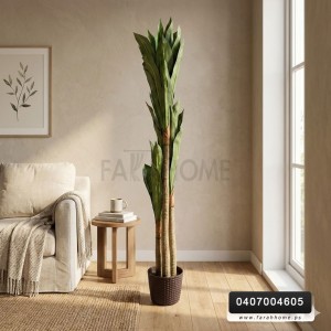 شجرة اولوفيرا 3 عروق ورق اخضر قوار اسود 180 سم