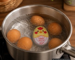 بيضة معيار لسلق البيض