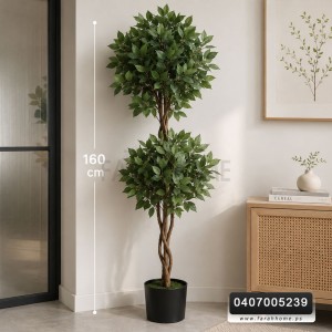 شجر فيجاس اخضر ابيض 160 مع قوار اسود