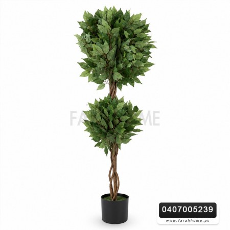 شجر فيجاس اخضر ابيض 160 مع قوار اسود