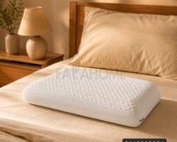 مخدة طبية فيسو ذكي مقاس 60 × 40 + 12 سم وجه ضد البكتيريا مخدة طبية فيسو ذكي مقاس 60 × 40 + 12 سم وجه ضد البكتيريا