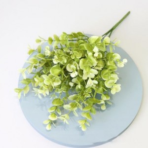 غصن الأوكالبتوس الأبيض : لمسة طبيعية وأنيقة تعلوها النقاء والجمال