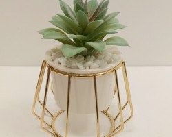 ستاند ذهبي مع قوار ورد صبار16 سم بورسلان   