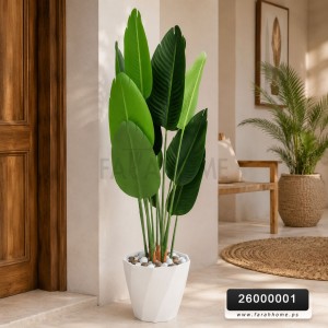 شجر ورد ورق موز عريض قوار ابيض ارتفاع 120 سم 