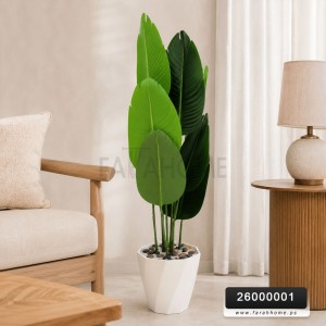 شجر ورد ورق موز عريض قوار ابيض ارتفاع 120 سم 