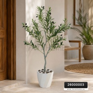 شجرة حب زيتون اخضر  120 سم  قوار ابيض