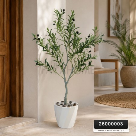 شجرة حب زيتون اخضر  120 سم  قوار ابيض
