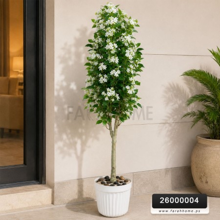 شجر لوز ابيض قوار ابيض وسط 150 سم