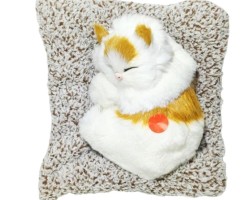 قطة صغيرة مع صوت ابيض ع مخدة ديكور مغلفة R16