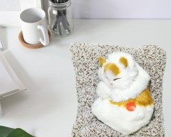 قطة صغيرة مع صوت ابيض ع مخدة ديكور مغلفة R16