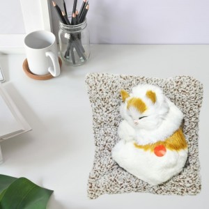 قطة صغيرة مع صوت ابيض ع مخدة ديكور مغلفة R16