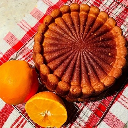 قالب كيك سيليكون شكل مدور كبير COOK STYLE