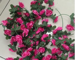 عرق ورد مداد لون ابيض الامير