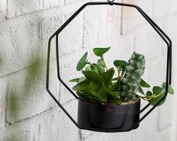 ستاند  اسود مع قوار ورد صبار16 سم بورسلان   