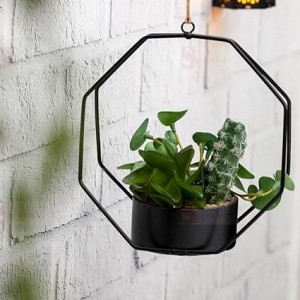 ستاند  اسود مع قوار ورد صبار16 سم بورسلان   