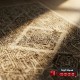 سجاد لونا خيط قطن 200 × 290 Lona Carpet - لون بيج 