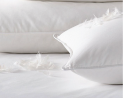 مخدة طبية ريش نعام مقاس 50 × 70 سم 1000 غم